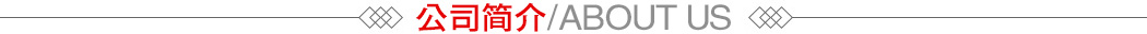 公司简介